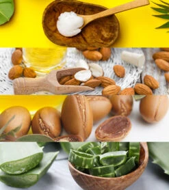 Pre-Swim Hair Defense 16.9 Oz. -Swimming Shops 5678005846184 almondscented 5a