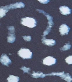 Xcel Womens Ocean Ramsey Axis 2mm Long Sleeve Back Zip Spring Suit 9 Xcel Womens Ocean Ramsey Axis 2mm Long Sleeve Back Zip Spring Suit -Swimming Shops 5680475504808 blackwhaleshark 5a