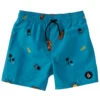 Volcom Boys' Cheesy Street EW Swim Trunk