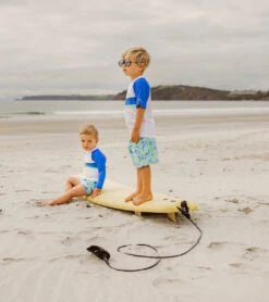 Boys' Shark Stripe SS Rash Top (Toddler, Little Kid, Big Kid) -Swimming Shops 7217019093160 mint 3a