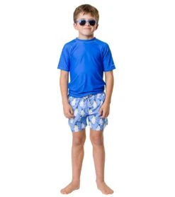 Boys' Penguin Patrol Volley Board Short (Toddler, Little Kid, Big Kid) -Swimming Shops 7217020993704 blue 5a