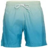 Men's Mint Sano Swim Trunks