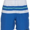 Boys' Striped Swim Trunks (Little Kid, Big Kid)